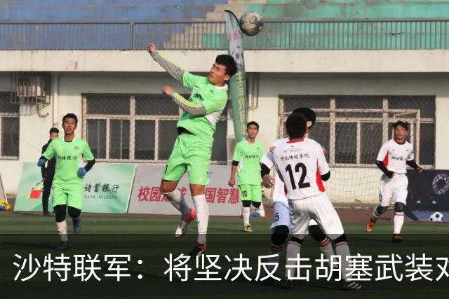 沙特联军：将坚决反击胡塞武装对利雅得机场的攻击